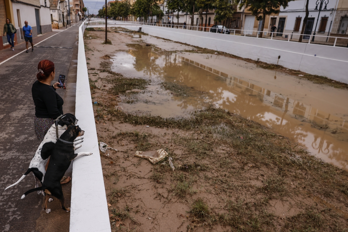 Una mujer y sus dos perros observan el barranco de la Saleta tras la Dana. - Foto: ROBER SOLSONA/EP Una mujer y sus dos perros observan el barranco de la Saleta tras la Dana.