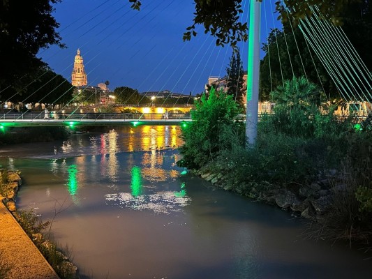 El cauce del Río Segura se ilumina de verde en Murcia en apoyo a las personas con síndrome de Apert