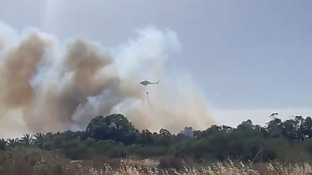 Controlado el incendio del Palmeral de San Ginés tras una rápida intervención de medios terrestres y aéreos
