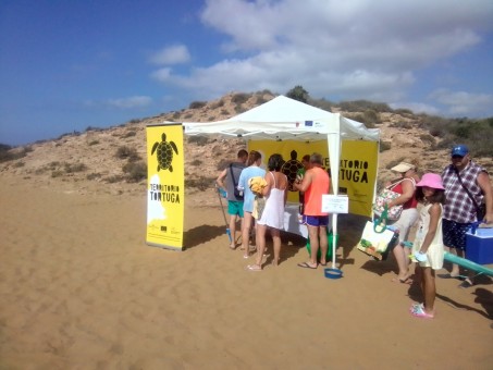 Una 'Mochila de actividades' para conocer y proteger las tortugas marinas en la Región: este fin de semana, en Mazarrón y Águilas