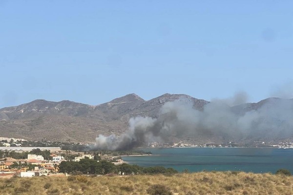 Las llamas arrasan hasta cuatro hectáreas del Palmeral de San Ginés en La Azohía