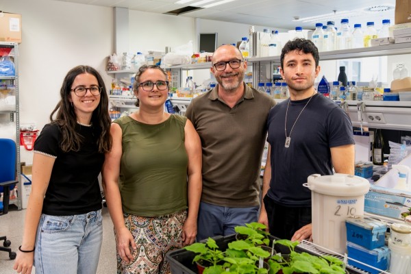 Un equipo del IBMCP (CSIC-UPV) ha creado un sistema bioluminiscente para detectar la presencias de virus. 