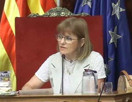 Vox Elche llevará al pleno la convocatoria de elecciones generales contra la 