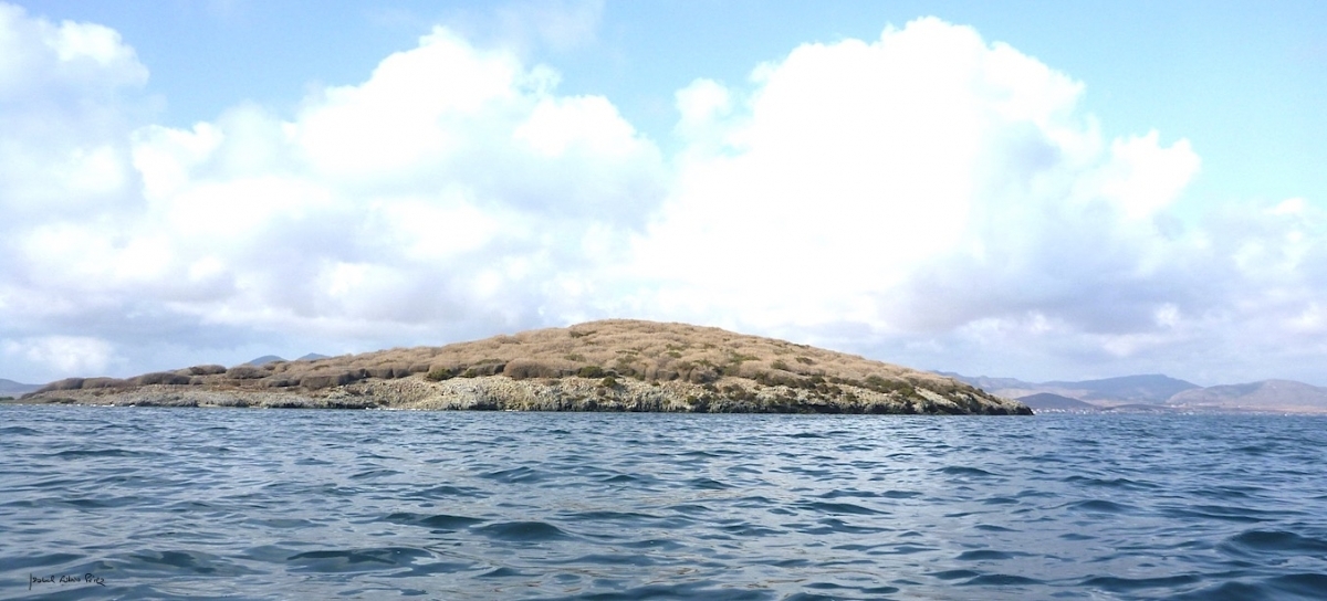 Isla Redonda. - Foto: Isa Rubio Pérez Isla Redonda.