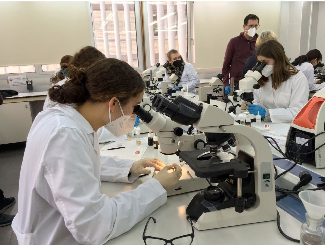 El Consell busca una consultora para elaborar un plan estratégico de la biotecnología valenciana