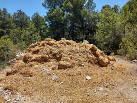 Denuncian la demolición 