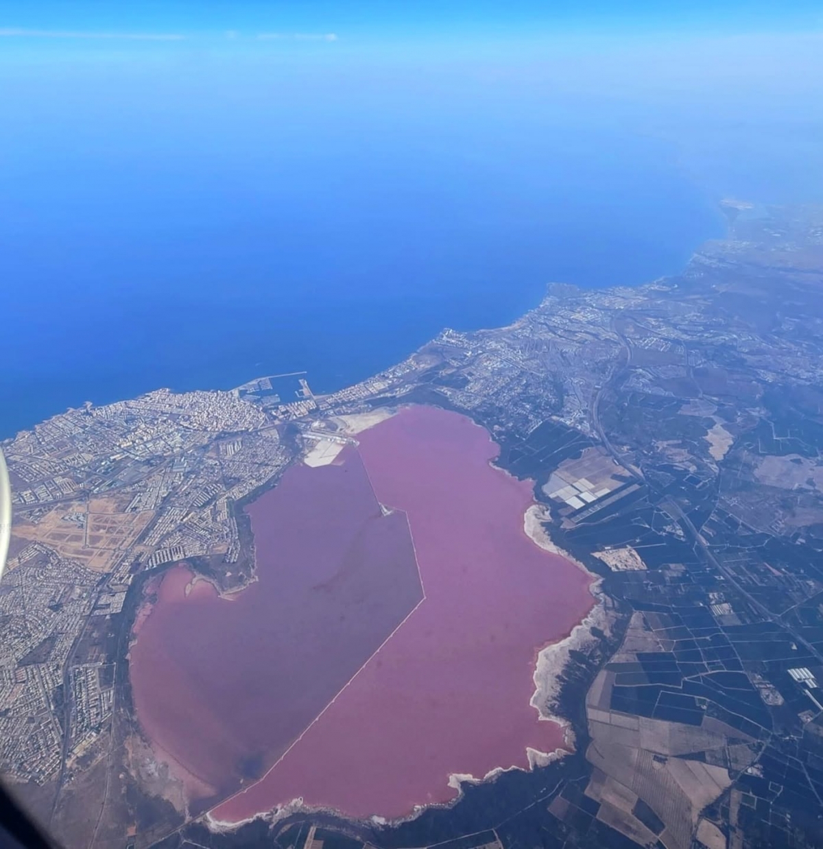 La 'otrora' poderosa Promociones Edén del Mar de Torrevieja, a concurso, con 14 millones de deuda
