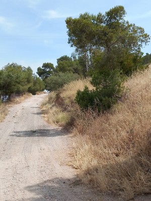 La defensa de la Cañada Real de Torreagüera sigue sumando firmas: alertan de la necesidad de crear un cortafuegos