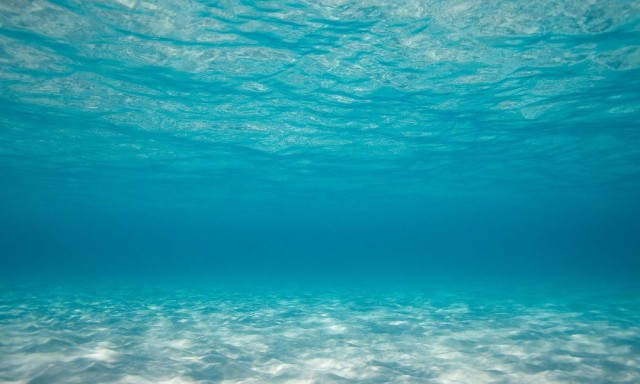 Usan agua de mar para producir combustible solar