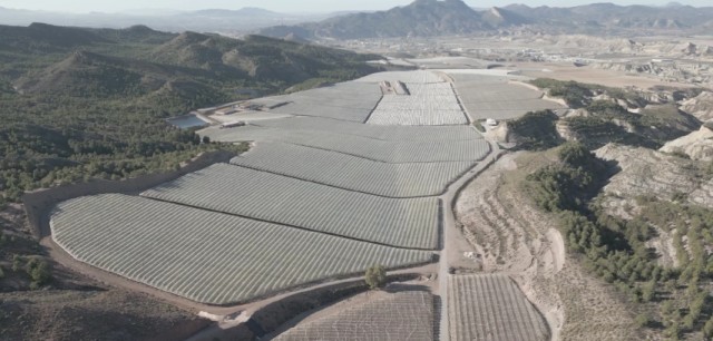 La totanera Moyca espera recolectar más de 70.000 toneladas de uva en esta campaña