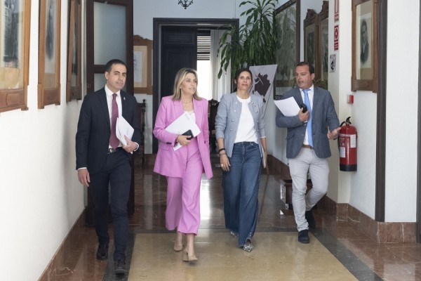 La Diputación eleva una propuesta para pedir una financiación 