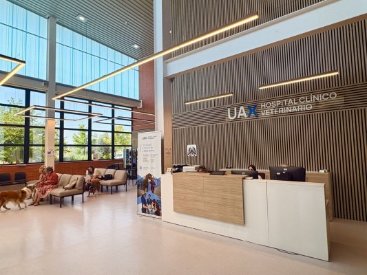 El Hospital Clínico Veterinario de UAX celebra 20 años de vanguardia veterinaria como referente europeo