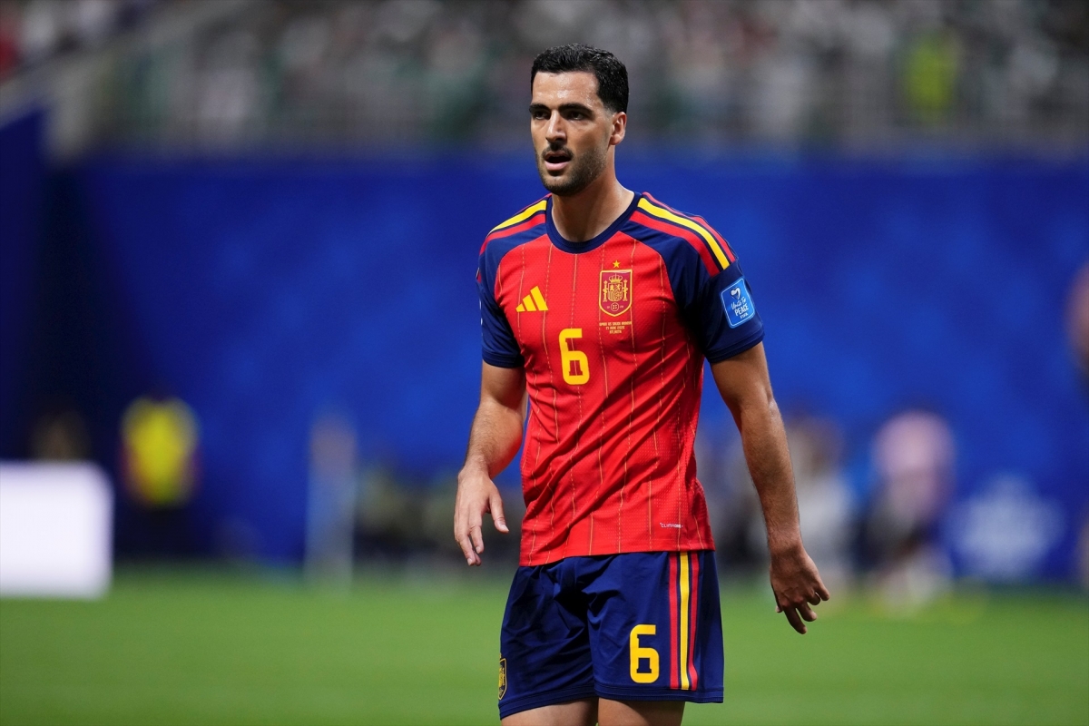 Merino: 