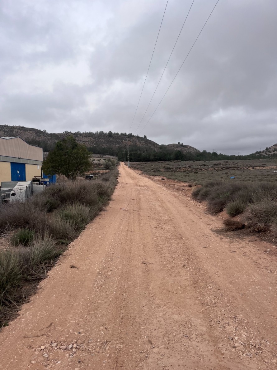 Recolecciones y Cultivos Villena se hace con el contrato para desbrozar caminos: dos años y 60.000 euros