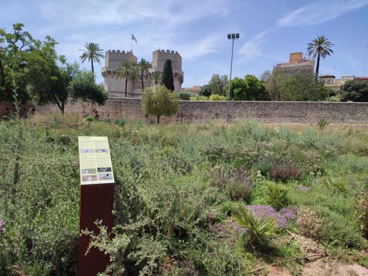 Abre el nuevo Jardín de Polinizadores en el antiguo cauce del Turia, con más de 7.900 plantas arbustivas