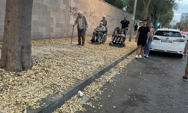 Vecinos de Playa de San Juan logran un compromiso de refuerzo en la limpieza del distrito