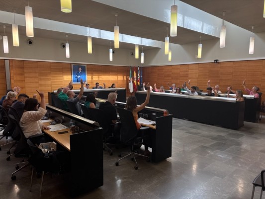 San Vicente reclamará un millón a la concesionaria del Complejo Deportivo Sur por deterioro