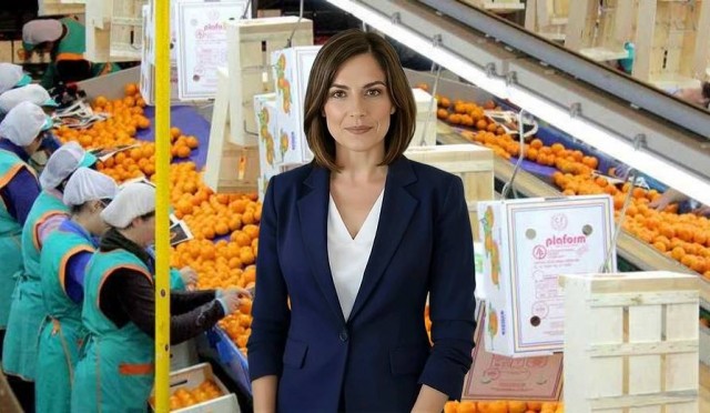 Sof-IA en un minuto: Las exportaciones de cítricos de Castellón alcanzan 480 millones con caída del 13%