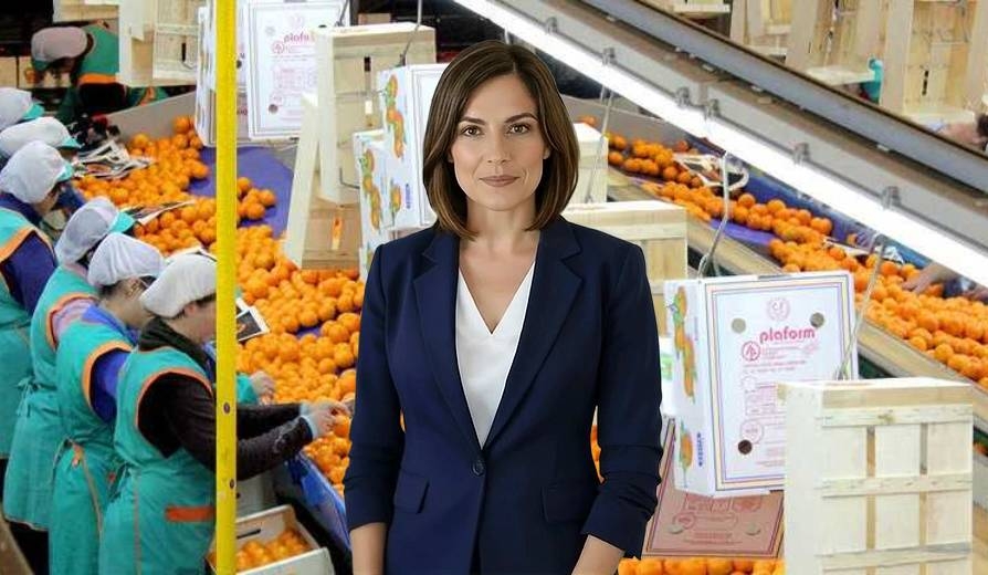 Sof-IA en un minuto: Las exportaciones de cítricos de Castellón alcanzan 480 millones con caída del 13%