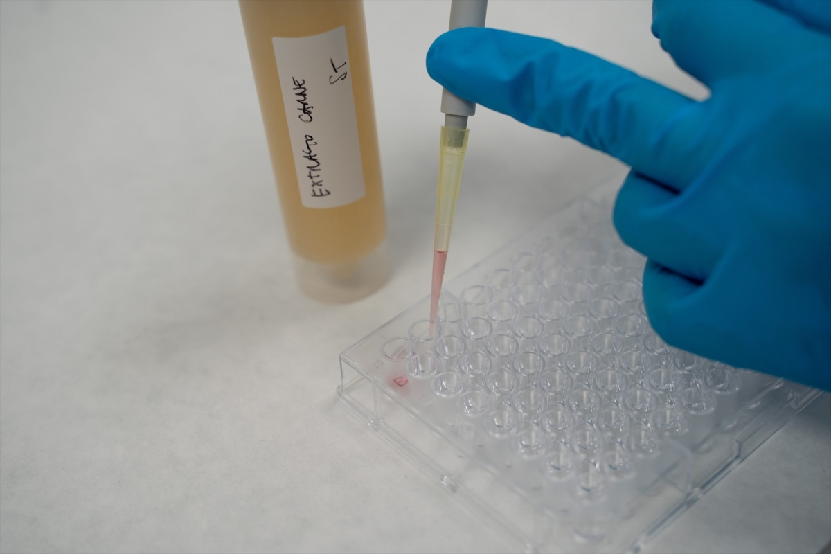 Itene desarrolla un sistema de detección rápida de salmonella y listeria en alimentos mediante biosensores avanzados
