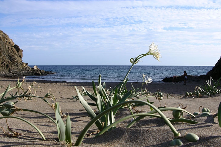 - Foto: TURISMO REGIÓN DE MURCIA