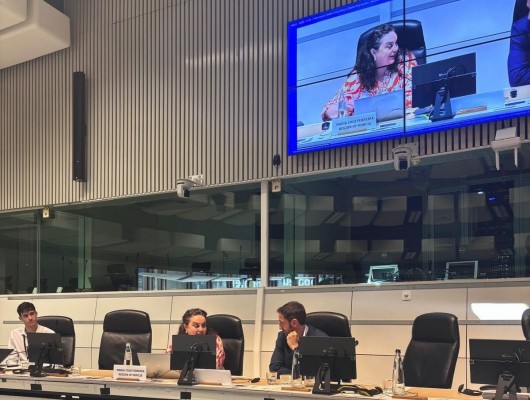 La Región de Murcia pide en Europa un cambio de modelo para reconocer el papel de los bosques mediterráneos