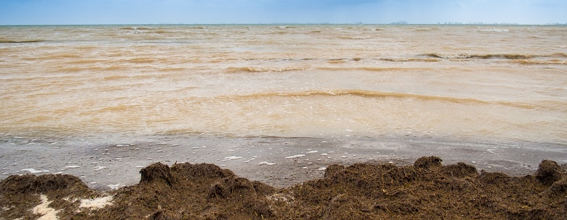 El Gobierno apunta a las riadas, y no al acuífero, como principal amenaza para el Mar Menor