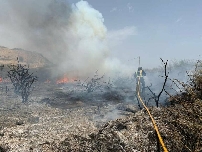 El riesgo de incendio forestal este jueves es extremo o muy alto en casi toda la Región