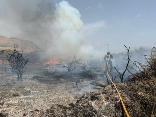 El nivel de riesgo de incendio forestal este miércoles es muy alto o alto en la mayor parte de la Región