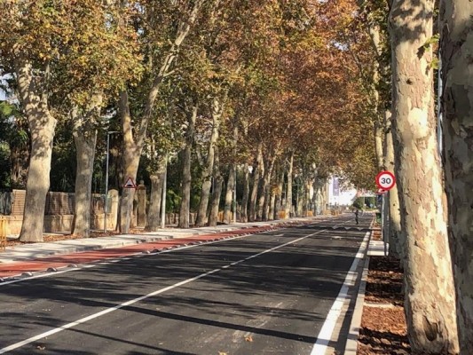Castelló restringe el tráfico en parte de la avenida Enrique Gimeno por labor de jardinería y mantenimiento