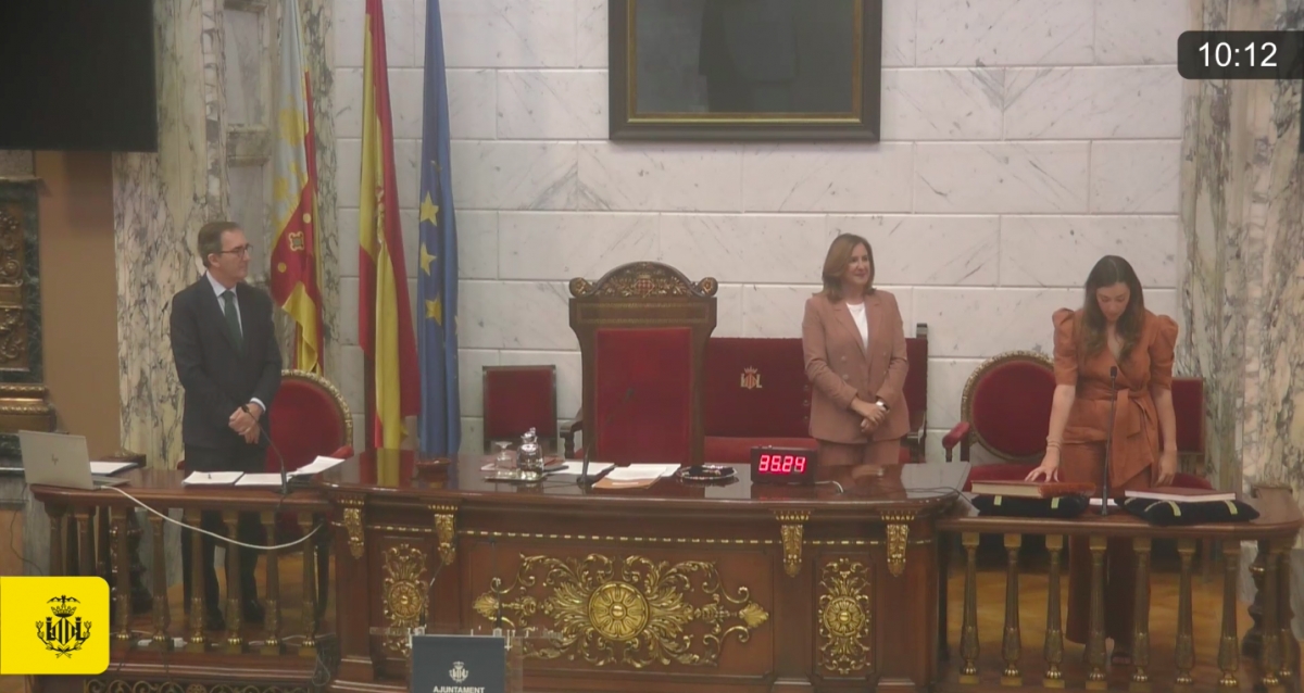 Captura de pantalla del streaming del pleno.