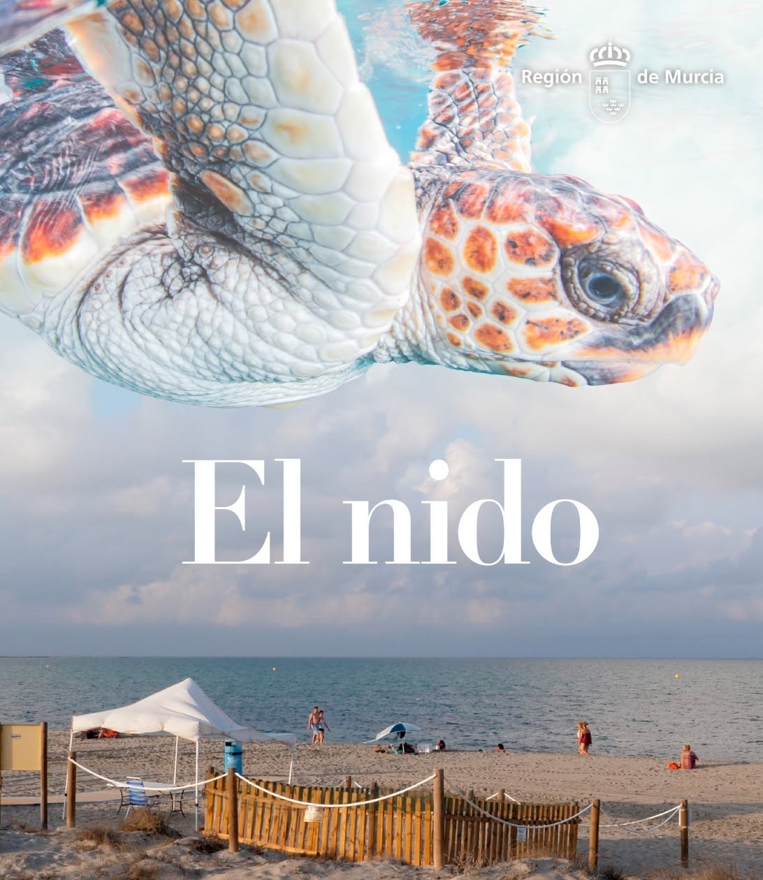 El nido
