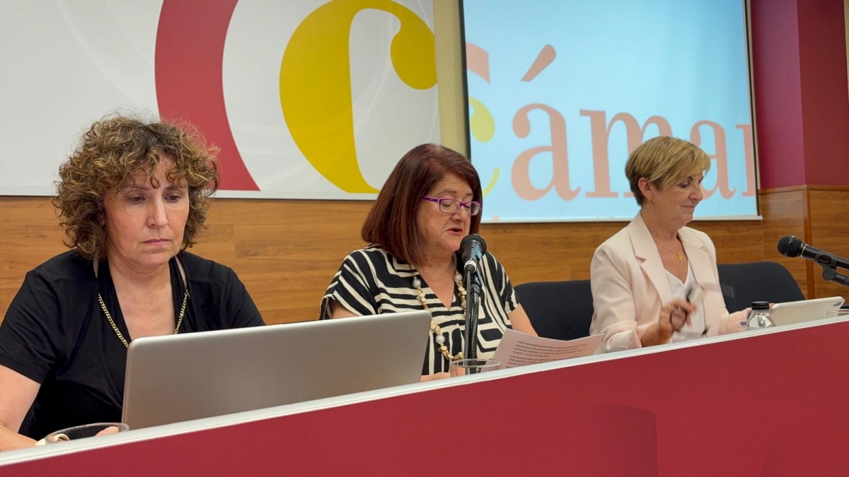 Un momento de la intervención de la presidenta de la Cámara. - Un momento de la intervención de la presidenta de la Cámara.