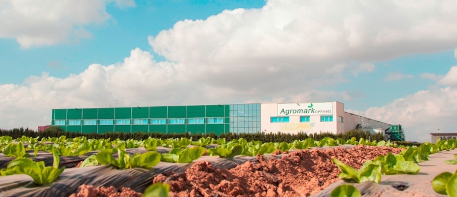 La pachequera Agromark consolida su negocio en los 92 millones de euros y potencia la producción ecológica 