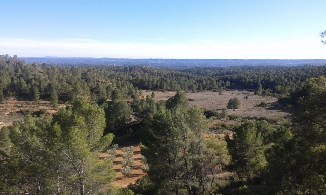 Europa y la provincia de Valencia se unen en la prevención de incendios y la gestión de biomasa