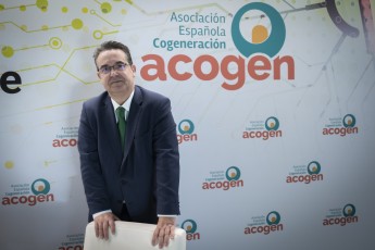 Javier Rodríguez, director general de Acogen: 