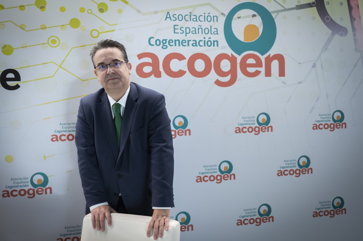 Javier Rodríguez, director general de Acogen: 