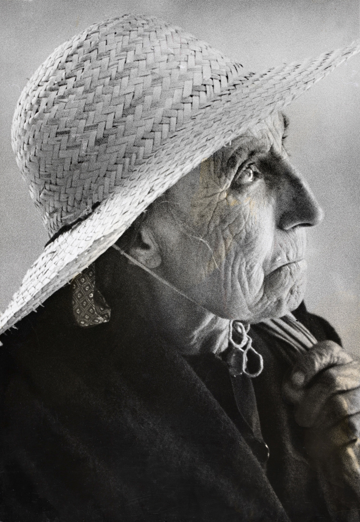 Fotografía de la exposición. 