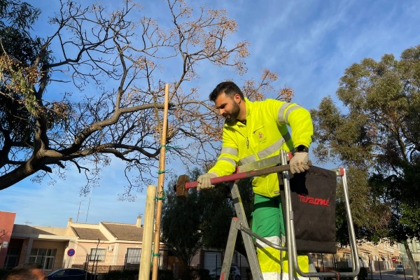 Cartagena apuesta por el verde con 400 árboles plantados en lo que va de año