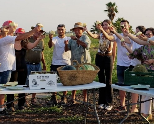 Xilxes proyecta ‘El alma de nuestra marjal’, un documental sobre el cultivo del melón