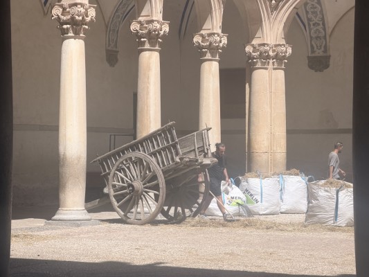 Orihuela, primera parada para el rodaje del 'live action' de 'Enredados' de Disney