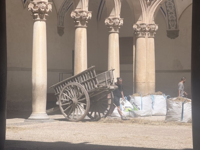Orihuela, primera parada para el rodaje del 'live action' de 'Enredados' de Disney