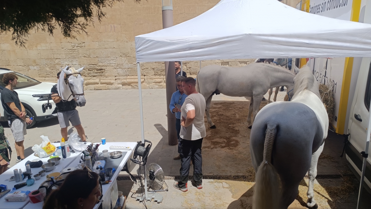  - Foto: Activa Orihuela.