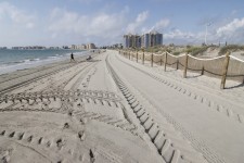 El Miteco termina la primera fase de restauración de las dunas en 6 áreas de La Manga