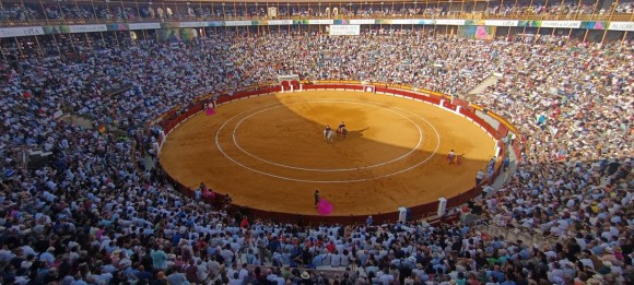 Morante e Israel Guirao, triunfadores de la Feria Taurina de Fogueres