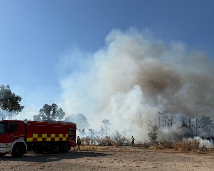 El helicóptero de Emergencias y los bomberos se movilizan en Beniaján por un incendio en una zona con pinos y palmeras