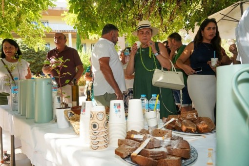 El proyecto 'Algarrobo Vivo' plantará más de 2.200 algarrobos en los próximos dos años 