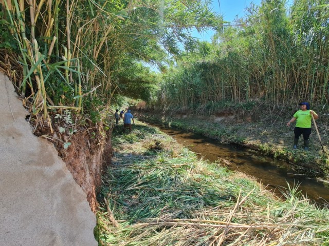 Nules contrata a 46 personas desempleadas del sector agrario para labores de limpieza de caminos rurales