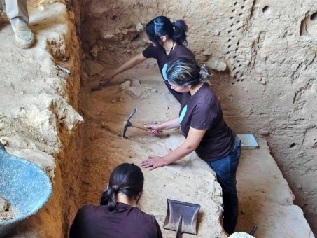 Las excavaciones en la Cueva Negra de Caravaca descubren un hueso maxilar de un oso extinguido