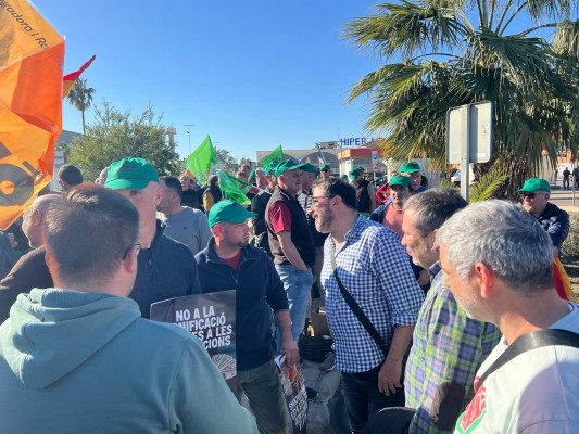 Compromís exigeix mesures immediates per a la ramaderia de Castelló 

